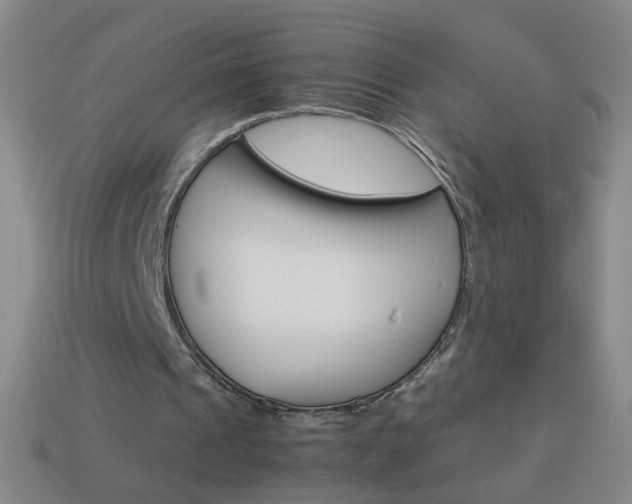 X0000114190241200910091034