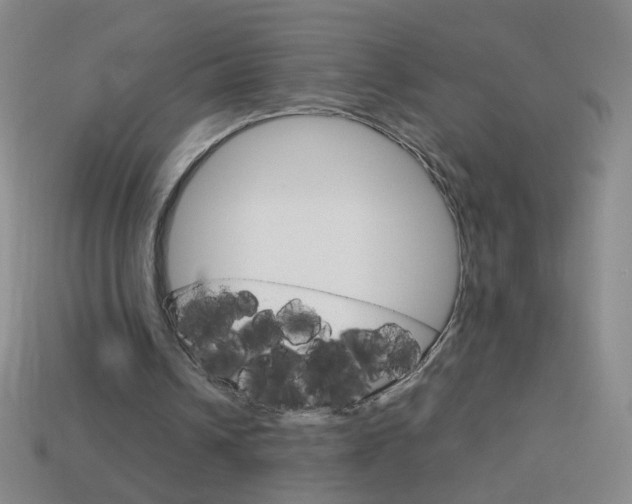 X0000114190242200910091034