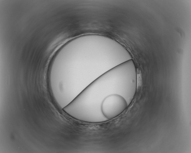 X0000114190243200910091034