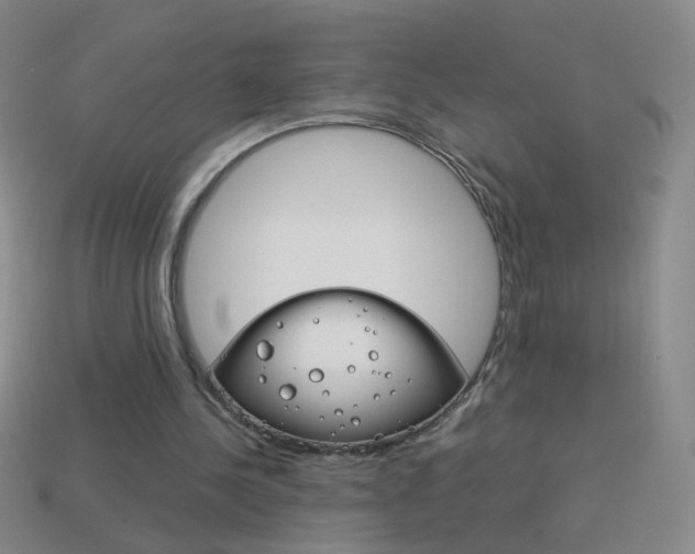 X0000114190244200910091034