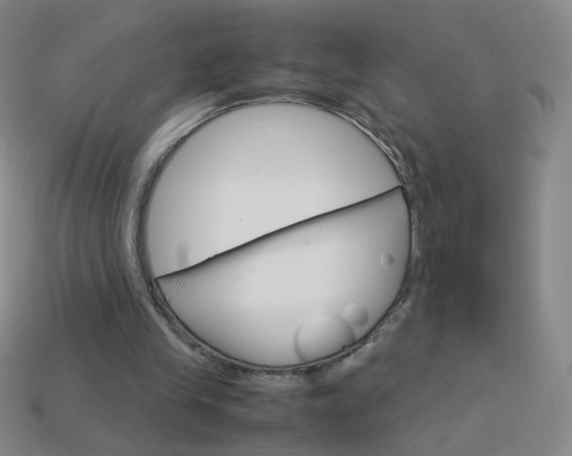 X0000114190245200910091034