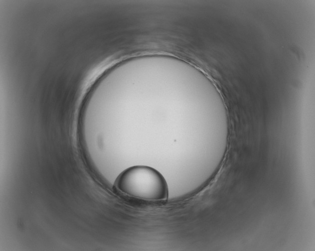 X0000114190248200910091034