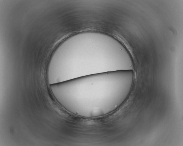 X0000114190249200910091034