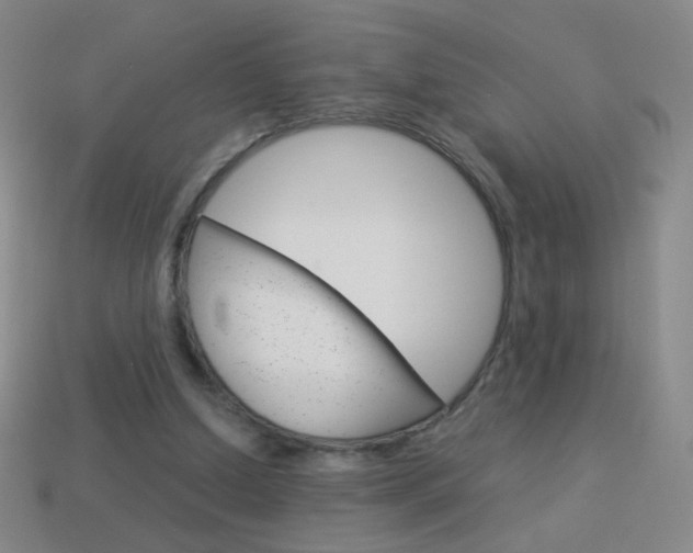 X0000114190250200910091034