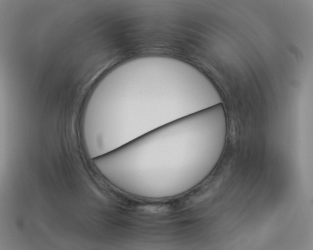 X0000114190251200910091034