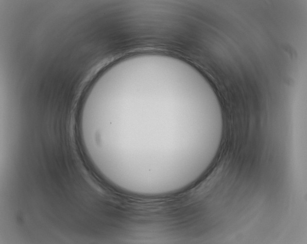 X0000114190252200910091034