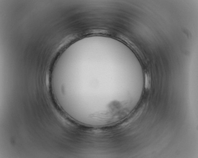 X0000114190253200910091034