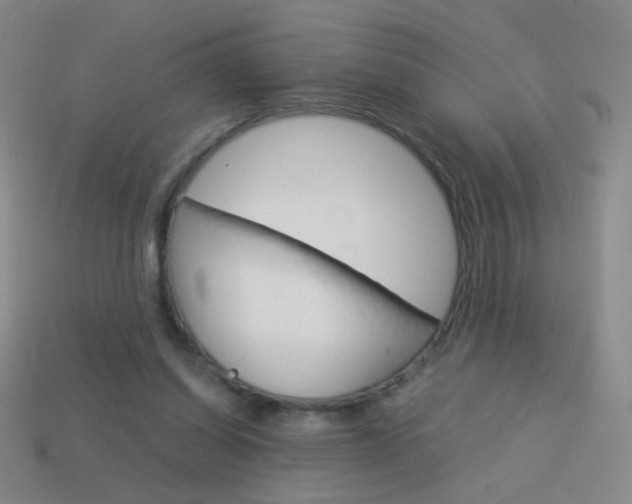 X0000114190254200910091034