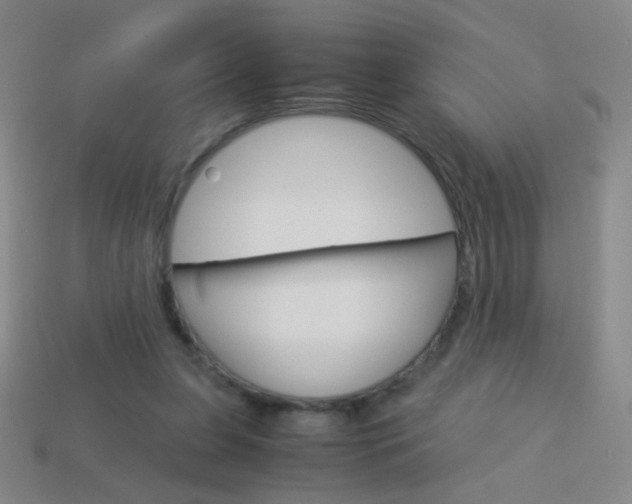 X0000114190255200910091034