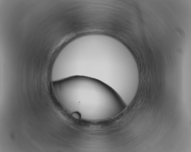 X0000114190256200910091034