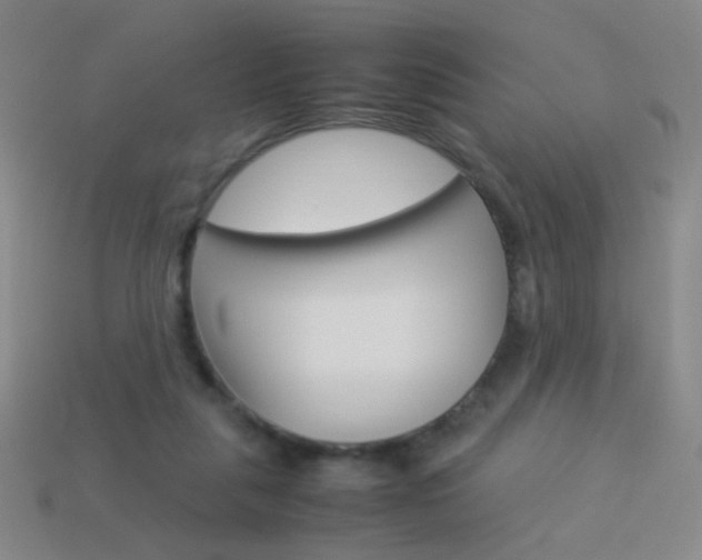 X0000114190259200910091034