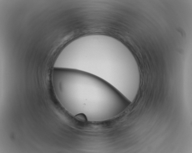 X0000114190260200910091034