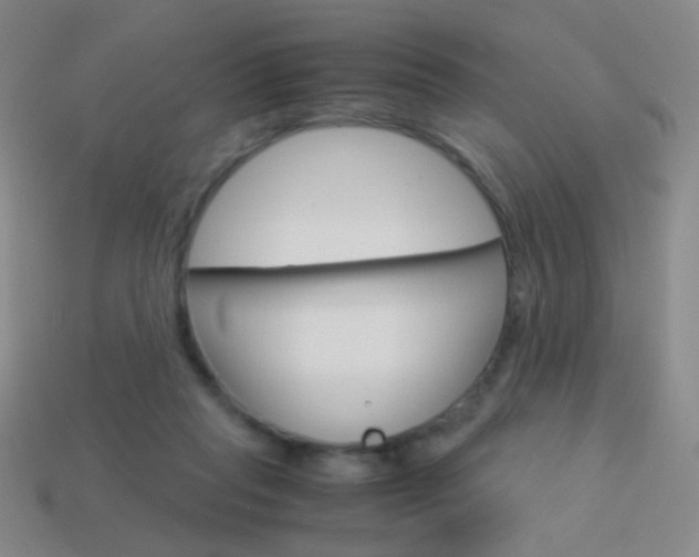 X0000114190261200910091034