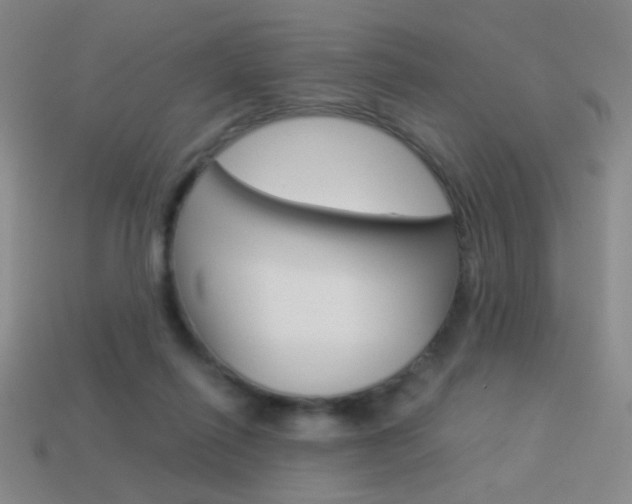 X0000114190262200910091034