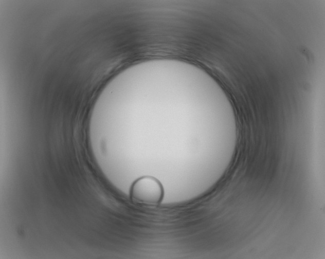 X0000114190264200910091034