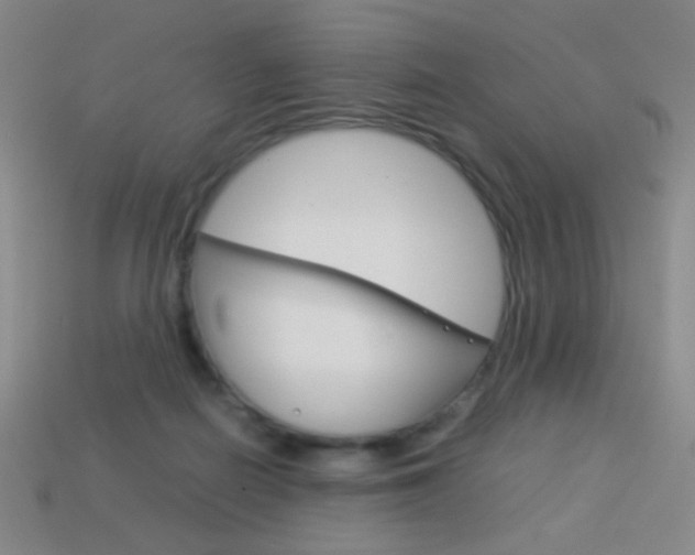 X0000114190266200910091034