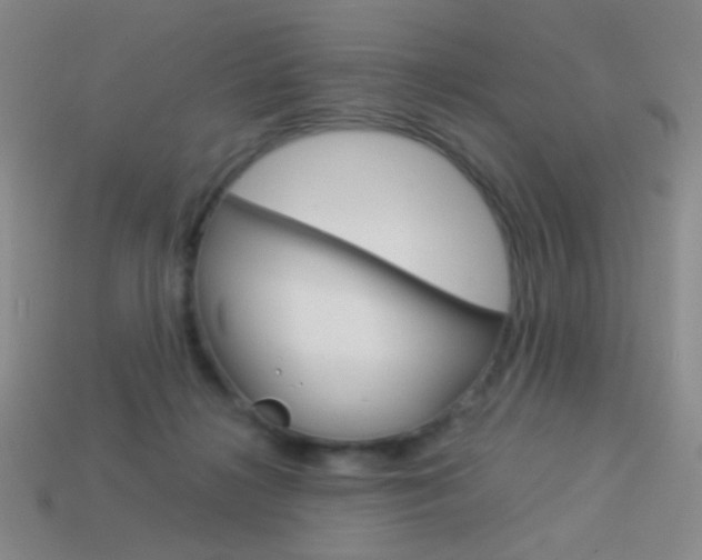 X0000114190268200910091034
