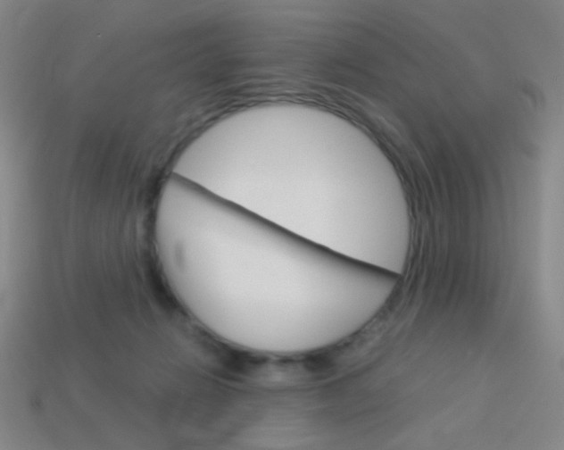 X0000114190270200910091034
