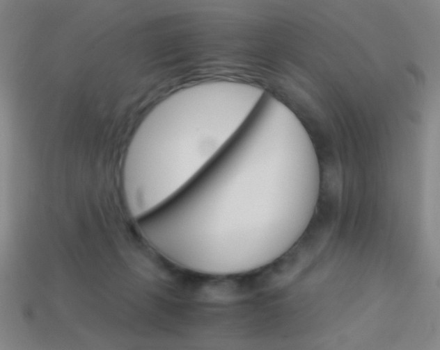 X0000114190271200910091034