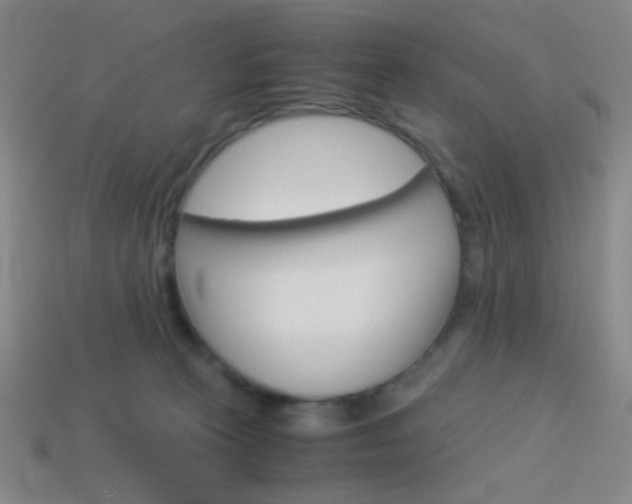 X0000114190273200910091034
