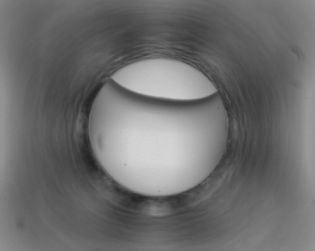 X0000114190275200910091034