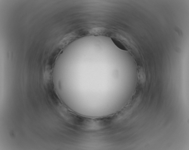 X0000114190276200910091034