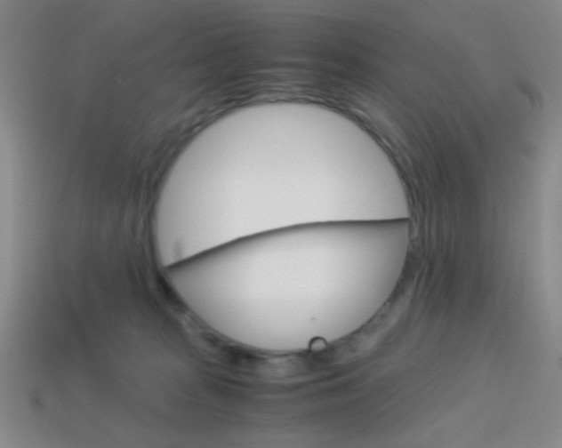 X0000114190277200910091034