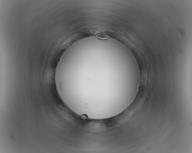 X0000114190280200910091034