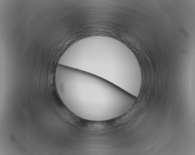 X0000114190282200910091034