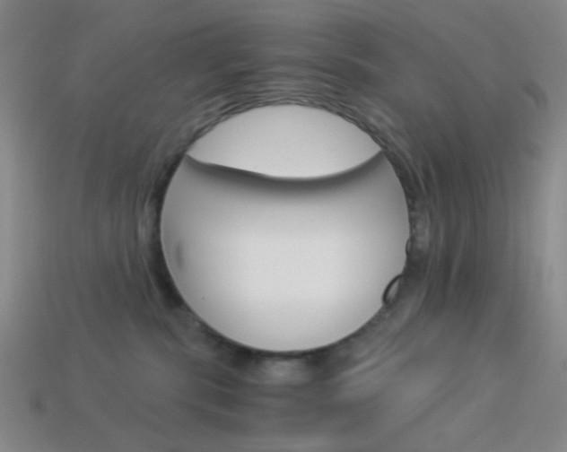 X0000114190283200910091034