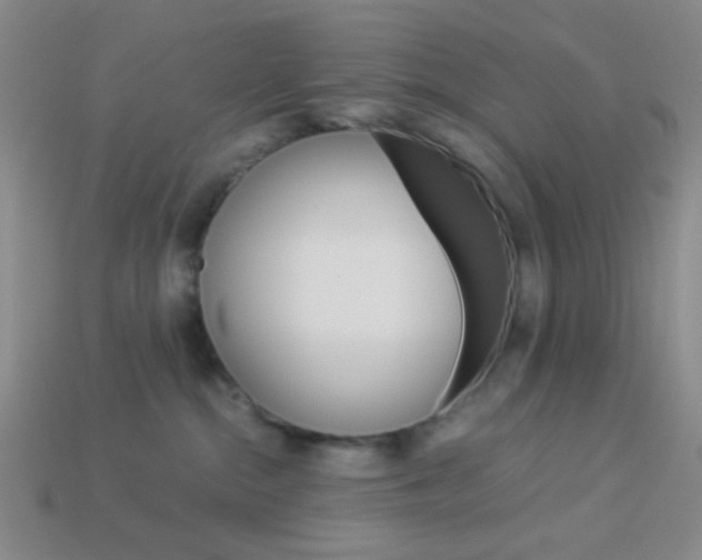 X0000114190284200910091034