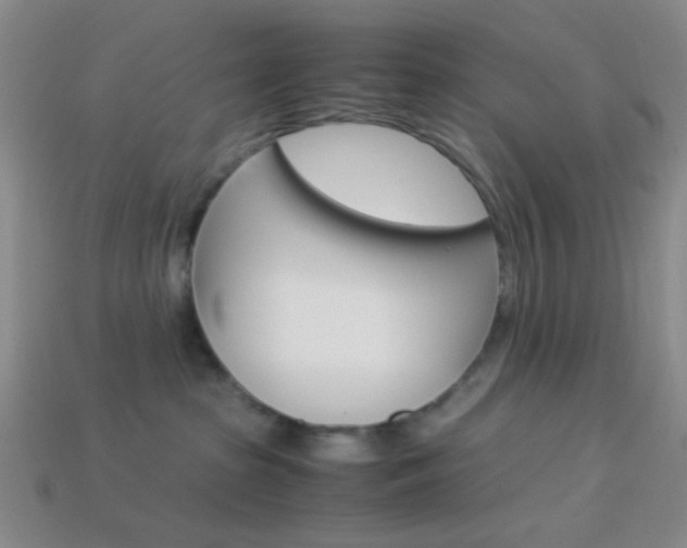 X0000114190285200910091034
