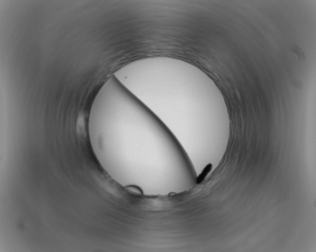 X0000114190286200910091034