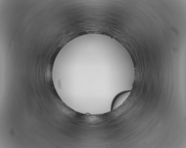X0000114190287200910091034