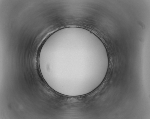X0000114190290200910091034