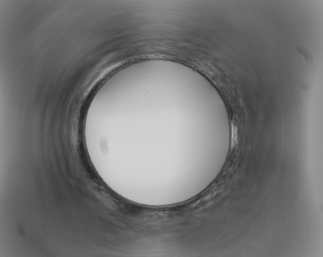 X0000114190291200910091034