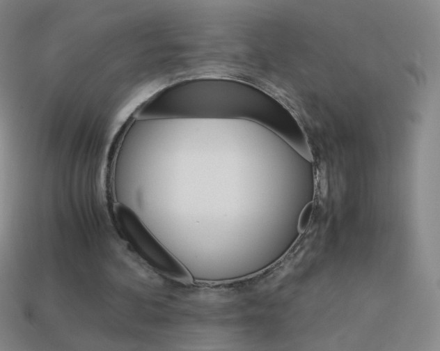 X0000114190292200910091034