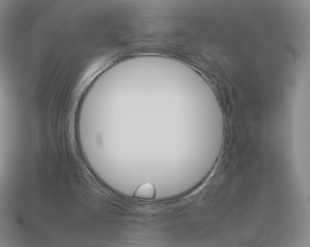 X0000114190293200910091034