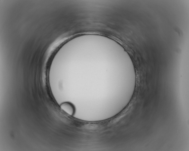 X0000114190294200910091034