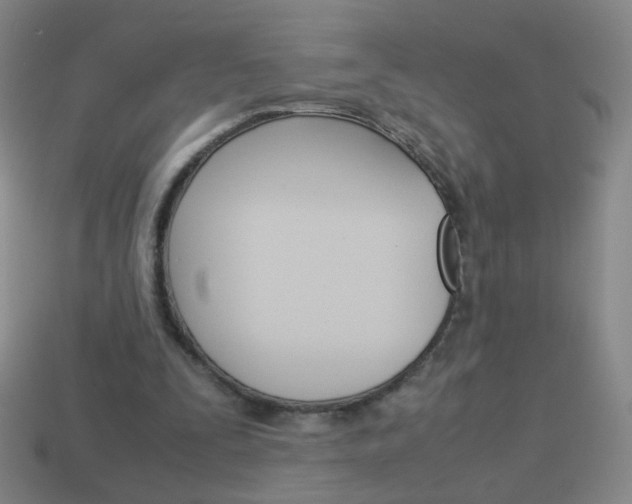 X0000114190295200910091034