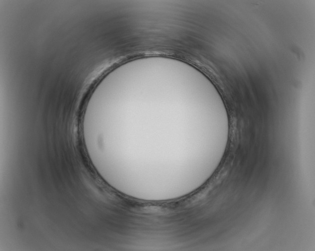 X0000114190298200910091034