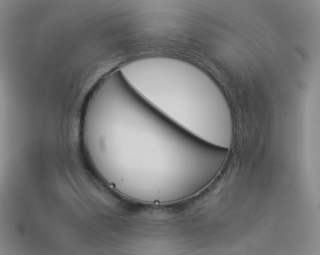 X0000114190299200910091034