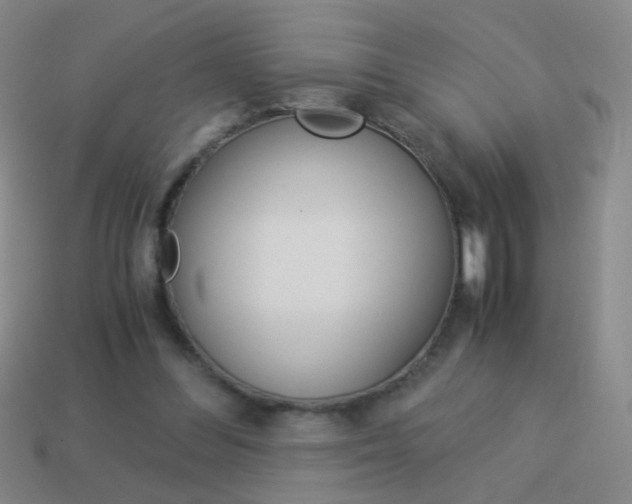 X0000114190300200910091034