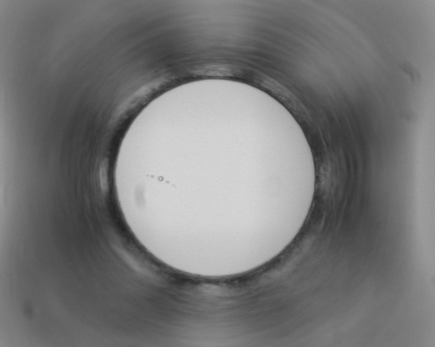 X0000114190302200910091034