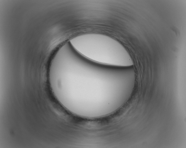 X0000114190303200910091034