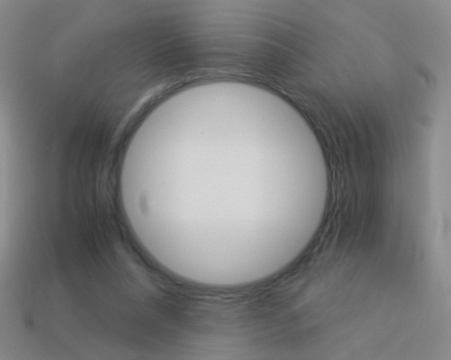 X0000114190304200910091033