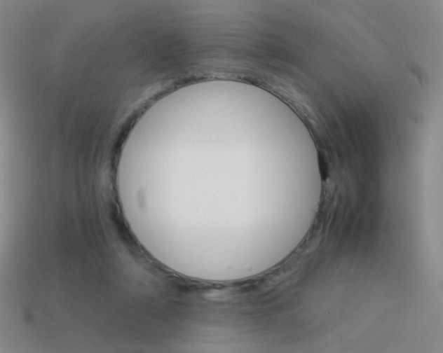 X0000114190306200910091033