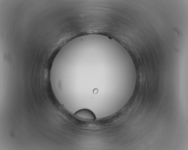 X0000114190308200910091033