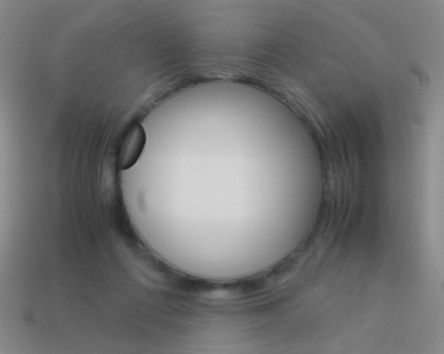 X0000114190312200910091033