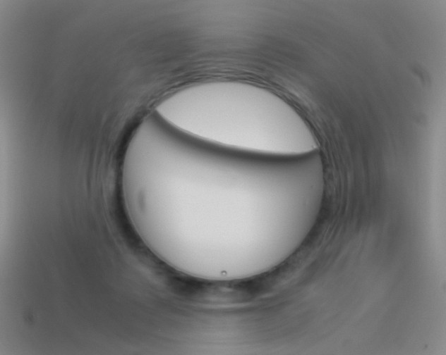 X0000114190315200910091033